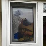 Uwe Eich in Bergisch Gladbach: Insektenschutz